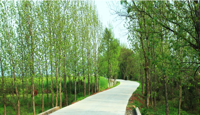 江西信豐縣工業(yè)園科之光路（緯二路）新建大道、產(chǎn)業(yè)大道北段一期工程設(shè)計(jì)、施工總承包（EPC）